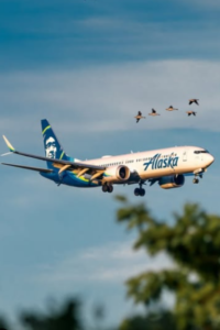 Alaska Airline